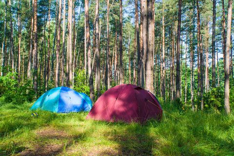 4245490-671574-tourist-camping-in-the-forest