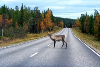 1-Finland-road