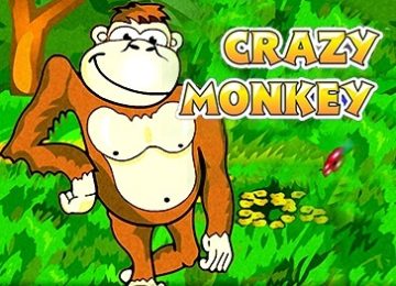 Crazy-Мonkey-360x260