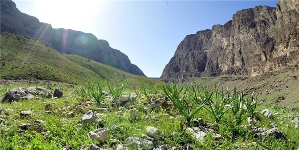 Mountain in Uzbekistan