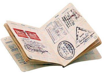 годовая шенгенская виза