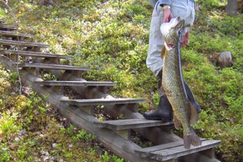 Особенности финской рыбалки: лучшее время и лучшие места